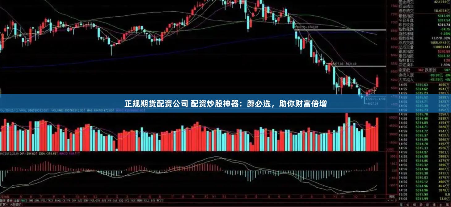 正规期货配资公司 配资炒股神器：蹿必选，助你财富倍增