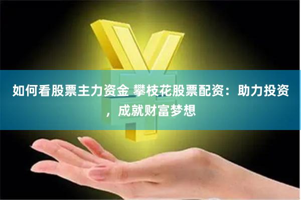 如何看股票主力资金 攀枝花股票配资：助力投资，成就财富梦想