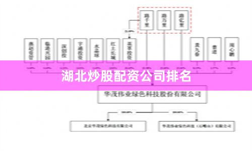 湖北炒股配资公司排名
